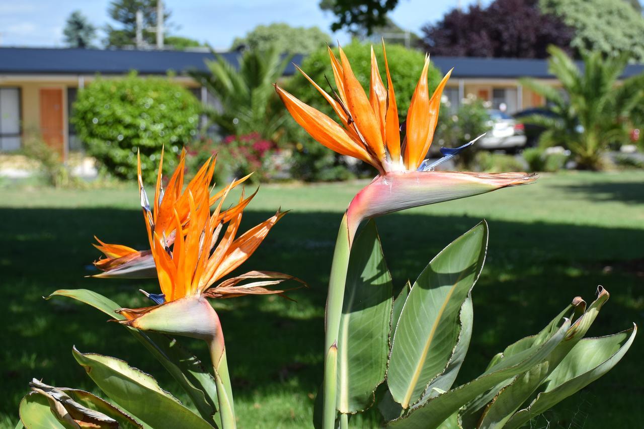 Beachway Motel Ulverstone Extérieur photo